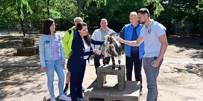 Tier- und Gartenprojekt GemS Heusweiler Regionalverbandsdirektorin Dr. Carolin Lehberger sowie Vertreterinnen und Vertreter der Gemeinschaftsschule Heusweiler und des Nabu Köllertal stehen um eine Zwergziege im Schulgarten und füttern diese.
