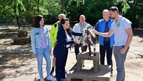Regionalverbandsdirektorin Dr. Carolin Lehberger sowie Vertreterinnen und Vertreter der Gemeinschaftsschule Heusweiler und des Nabu Köllertal stehen um eine Zwergziege im Schulgarten und füttern diese.