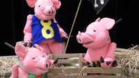 Drei kleine rosafarbene Schweinsfiguren mit einer Piratenflagge auf Holzkisten.