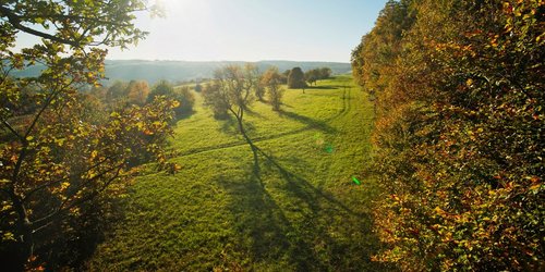 Blick über Obstwiesen im Bliesgau