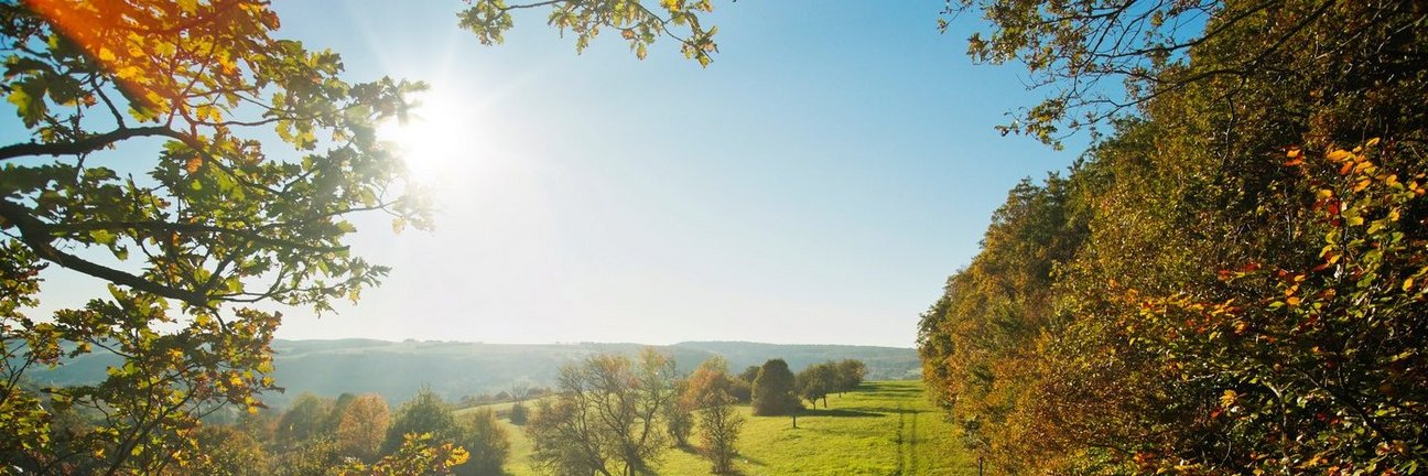 Blick über Obstwiesen im Bliesgau