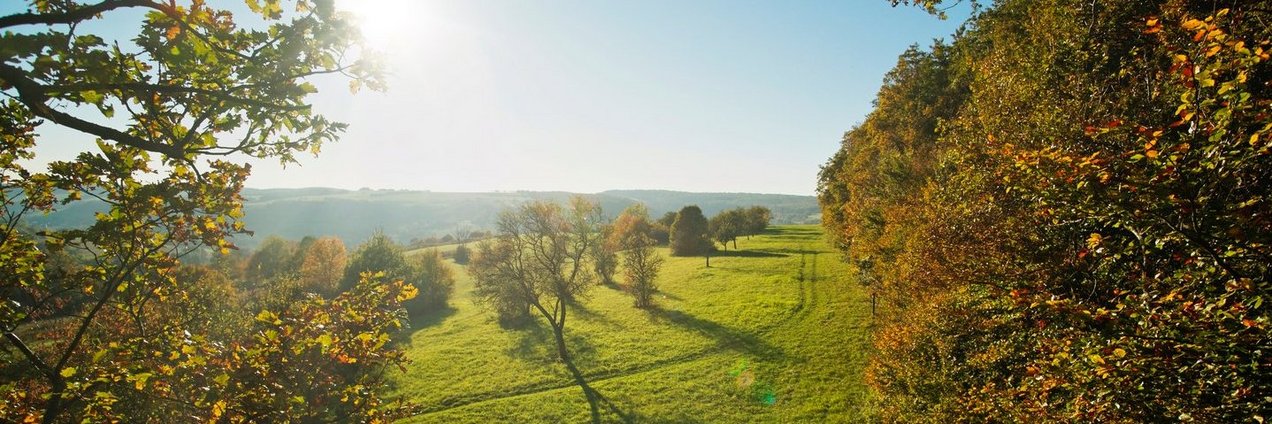 Blick über Obstwiesen im Bliesgau