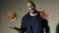 Ein kahlter Mann vor hellbraunem Hintergrund, vor ihm fliegen zwei große, rötliche Schmetterlinge.