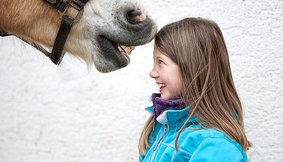 Fotolia_55395496_L_medium