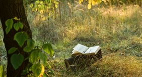 Ein Buch liegt aufgeschlagen auf einem Baumstumpf auf einer Waldlichtung bei Sonnenuntergang.
