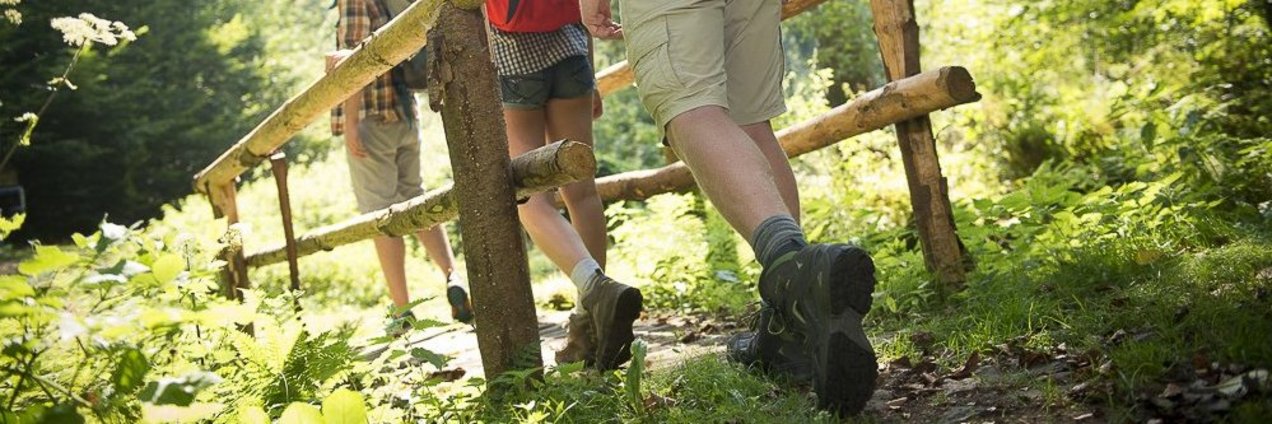 Drei Wandernde auf dem Ensheimer Brunnenweg