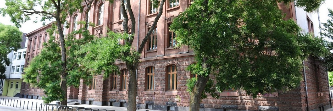 Schulgebäude und Schulhof mit Bäumen des Otto Hahn Gymnasium Saarbrücken