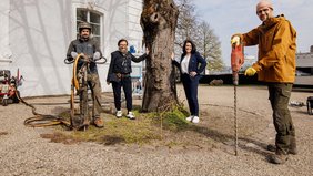Die Baumscheibensanierung der Silberlinde begutachteten Regionalverbandsdirektorin Dr. Carolin Lehberger (2.v.r.) und Heike Schneider von der Aufbaugesellschaft Saarbrücker Schloss. Beide stehen um die Silberlinde herum. Ebenfalls auf dem Foto zwei ausführende Arbeiter, einmal mit Pressluftlanze und großem Bohrer
