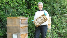 Schlosshonig neue Ernte Dr. Susanne Meuser, die die Bienen der Regionalverbandes betreut und den Schlosshonig produziert, steht am Bienenkast im Garten des Erbprinzenpalais und zeigt ein Rähmchen aus diesem mt Bienen.