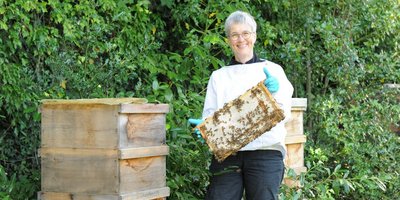 Schlosshonig neue Ernte Dr. Susanne Meuser, die die Bienen der Regionalverbandes betreut und den Schlosshonig produziert, steht am Bienenkast im Garten des Erbprinzenpalais und zeigt ein Rähmchen aus diesem mt Bienen.