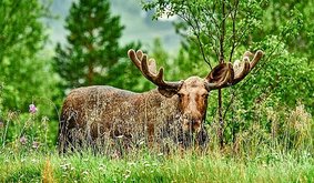 AdobeStock_164489284_medium