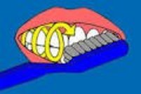 shematische Darstellung der kreisenden Zahnputzbewegung