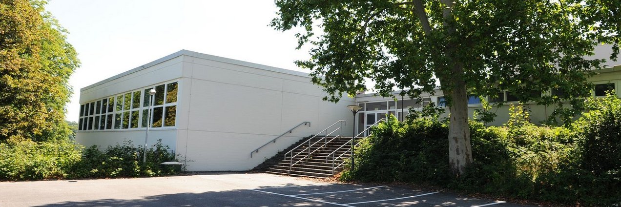 Seitenansicht der Gemeinschaftsschule Vopeliuspark in Sulzbach