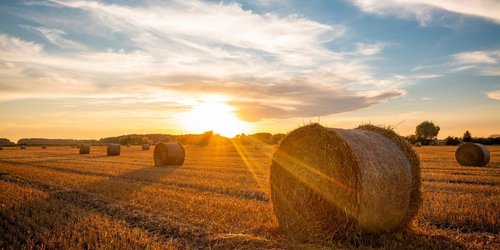 Sonnenaufgang über einem Feld mit großen Heuballen.