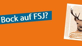 Hirsch mit Text "Bock auf FSJ?"