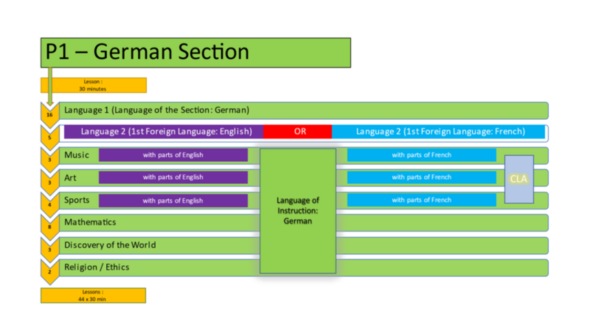 German_Section_P5