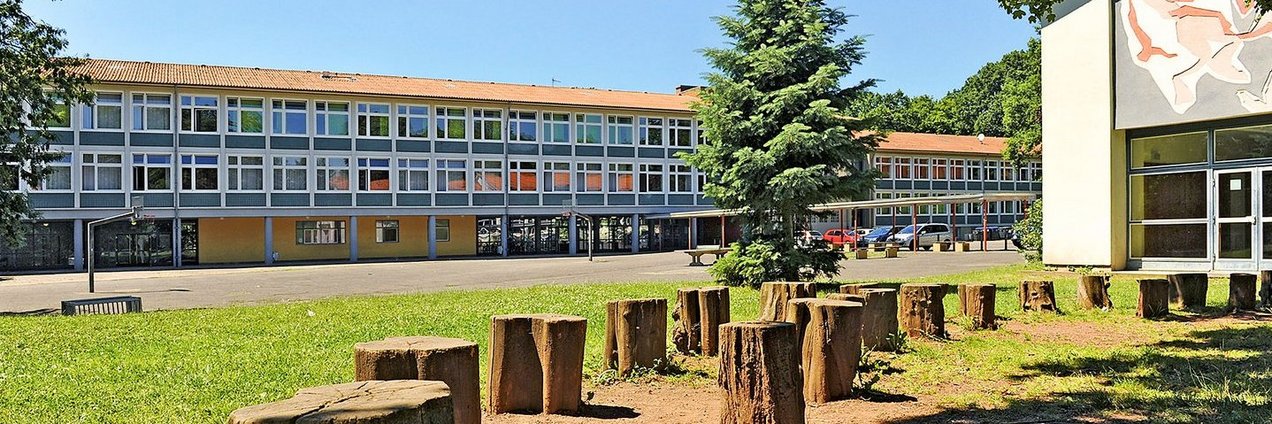 Wiese vor einem Schulgebäude mit Baumstämmen zum Sitzen unter einem großen Baum