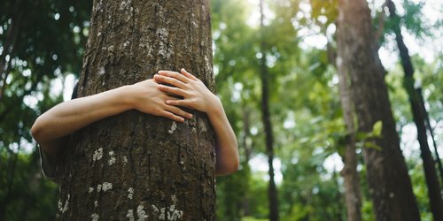 Eine Frau umarmt einen Baum, der in einem Wald steht.