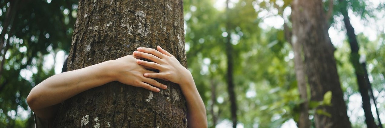 Eine Frau umarmt einen Baum, der in einem Wald steht.