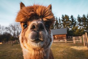 AdobeStock_405291331