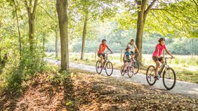 Eine Familie (zwei Erwachsene und zwei Kinder) auf Mountainbikes, die auf dem Köllertalradweg fahren - mitten im Wald.