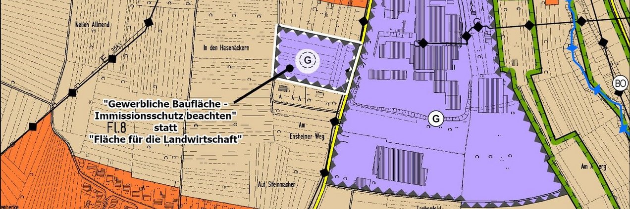 FNP_G_sueld_Ensheim_internet