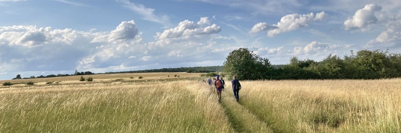 Zwei Wanderer spazieren durch ein Feld 