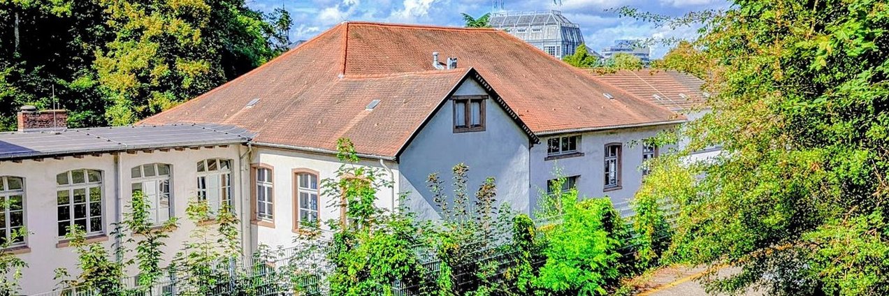 Blick auf den oberen Hof des Gymnasiums am Schloss in Saarbrücken mit historischem Schulgebäude, Tischtennisplatte, Bäumen und sonnigem Himmel fotografiert von Thomas Paulus 2026